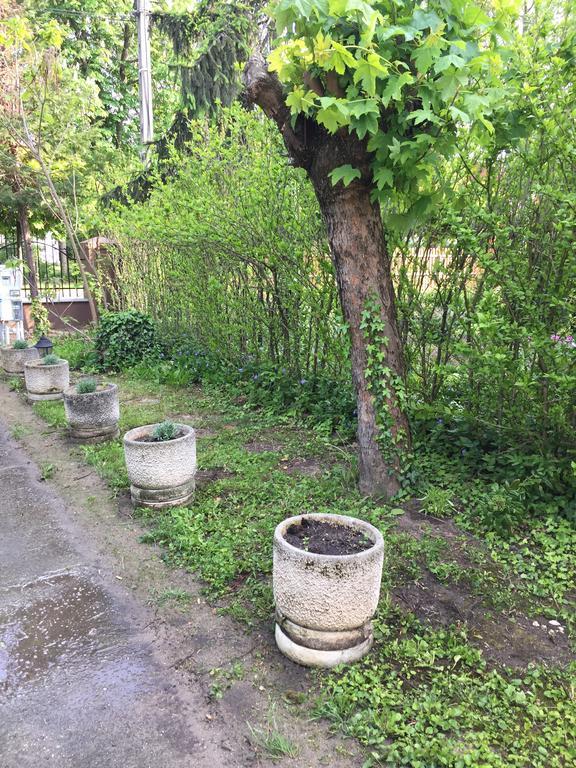 Palma Apartmanhaz Siofok Luaran gambar